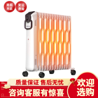 先锋取暖器家用电暖器节能省电油汀客厅大面积电暖气油丁油酊15片