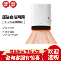 先锋暖风机小型电暖气壁挂式浴室热风取暖器孕婴家用节能省电暖器