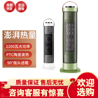 先锋取暖器家用卧室暖风机节能电暖器小型省电办公室电暖气热风机