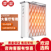先锋电暖器油汀全屋取暖器家用客厅大面积取暖神器大型油酊DS1975