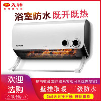 先锋取暖器家用电暖气壁挂式暖风机DQ1710浴室电暖器防水加热器