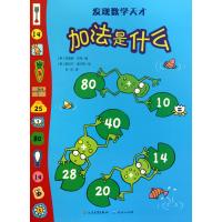 [二手9成新]加法是什么 9787501603602