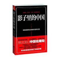 【二手9成新】影子里的中国：即将到来的社会危机 9787539961170