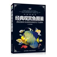 [二手9成新]经典观赏鱼图鉴(权威典藏版) 9787538456530