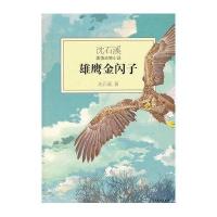 [二手9成新]沈石溪激情动物小说:雄鹰金闪子 9787532492329