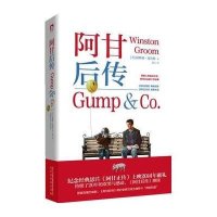 【二手9成新】阿甘后传 9787807694199