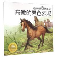 【二手9成新】高傲的栗色烈马 9787549239641
