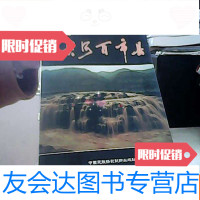 [二手9成新]今日黄河百市县 9781508479224