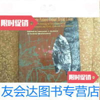 [二手9成新]TheLatePalaeo-IndianGreatLakes古印度洋大湖 9783562829553