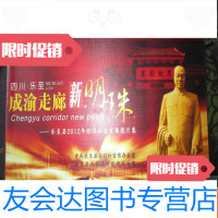 [二手9成新]四川乐至成渝走廊新明珠-乐至县2012年经济社会发展图片集 9783108056726