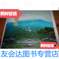 [二手9成新]罗浮仙境洞天福地--酥醪观 9781556044207