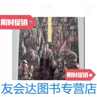 [二手9成新]缘木问道黄小明木雕艺术精品集[未拆封] 9781503165887