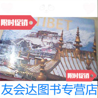 [二手9成新]西藏 9783302519720