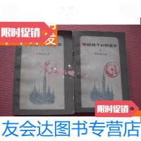 [二手9成新]20世纪外国文学丛书《穿破裤子的慈善家》上下册2册一套全 9781117157544