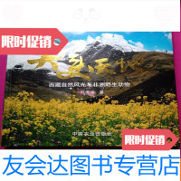 [二手9成新]大美天地:西藏自然风光与非洲野生动物 9781030583321