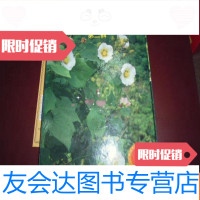 [二手9成新]台湾的常见野花好品带盒 9781532497997