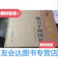 【二手9成新】光荣璀璨辉煌魅力平湖图集浙江省百项档案编研精品系列 9781504481122