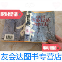 [二手9成新]少数民族舞蹈史 9781302387756