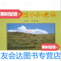[二手9成新]柴胡栏子金矿志 9782544246507