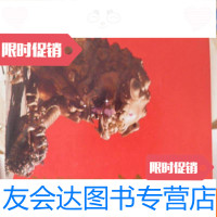 [二手9成新]北京同仁堂制药厂(折页一张) 9782300243375