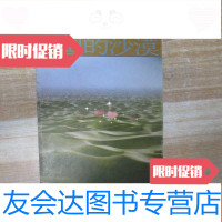 [二手9成新]一瞥(65)的沙漠 9782533321468