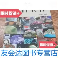 [二手9成新]玉石全书 9783302525172