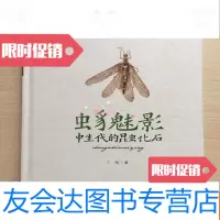 【二手9成新】虫豸魅影——中生代的昆虫化石 9783543321359