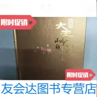 [二手9成新]大王岭村志茂名高州 9783509558867