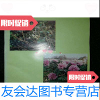 [二手9成新]常用中药材高产新技术b3-2 9783802098299