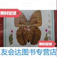 [二手9成新]蝴蝶标本[箭环蝶]带护套;罕见大个头 9783545451573
