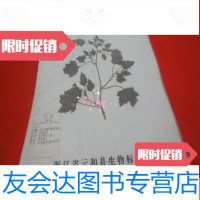[二手9成新]植物药实物标本-苍耳(标有此植物功能等) 9783568220934
