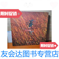 [二手9成新]草原 9787204104185