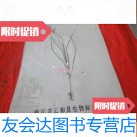 [二手9成新]植物药实物标本-香附(标有此植物功能等) 9783111344759