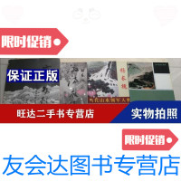 【二手9成新】杨长槐画集4册合售（3本带） 9788844314675