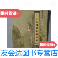 [二手9成新]十二孔陶笛秘籍宝典(图形谱资料集)第六版 9788864303222
