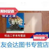 【二手9成新】中国工艺美术（英文）1973年出版 9788927337300