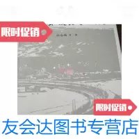 [二手9成新]中国铁路走出去发展战略研究 9788296184482