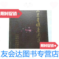 [二手9成新]山东省地质矿产图集 9787807546429