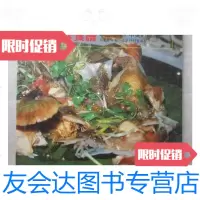 [二手9成新]海鲜食谱...中英文对照(24开、菜谱类)/王惠兰得利书局 9787126571855