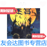 [二手9成新]迷宫/史航、张炎宏、廖学军大象出版社 9787534733994
