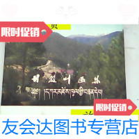 [二手9成新]甘孜州画集/甘孜州画集编辑组甘孜州画集编辑组 9787126795092