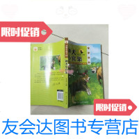 [二手9成新]神犬小宾果/沈石溪主编湖南少年儿童出版社 9787535886064