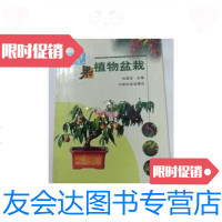 [二手9成新]观果植物盆栽/肖建忠中国农业出版社 9787109080966