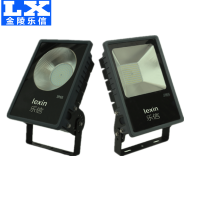 金陵乐信LED投光灯 LXFG-L6080