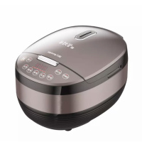 九阳(Joyoung) 4L 土灶铁釜米饭锅 IH电磁电饭煲 F-40T23/4L