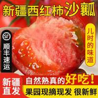 新疆吐鲁番 普罗旺斯沙瓤西红柿 5斤家庭/礼盒普罗旺斯当季新鲜 肉嫩多汁 个大饱满 沙瓤水果番茄 新疆番茄 沙瓤西红柿