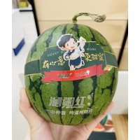 新疆吐鲁番火洲小西瓜6斤左右2个装/箱 现摘顺丰发货 进口品种引入火焰山培育 品质提升口感佳 新疆西瓜