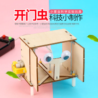 小学生科学实验玩具 DIY手工制作材料 自制马达玩具电动开虫 袋装