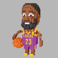 智鹰积木球星系列拼插篮球运动员玩具2574-2621兼容乐高 2576-詹姆斯-463pcs