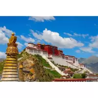 清明上河图拼图立体塑料小颗粒大型6000成年网红抖音超难减压玩具 布达拉宫2号木质2000片